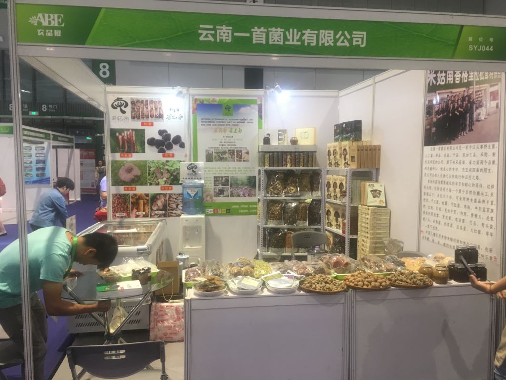上海展会15.jpg
